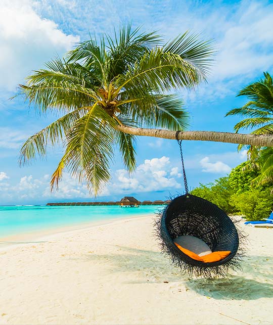 Serengeti Select zan