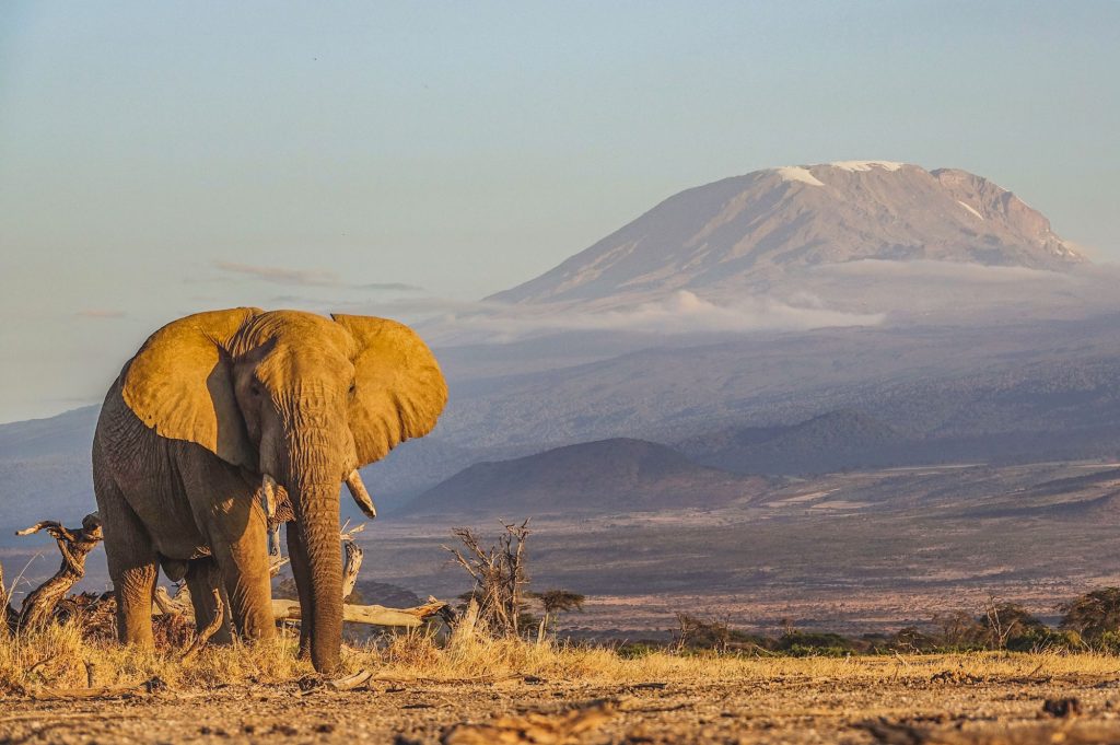 serengeti-Select-Safari-Hero-Background