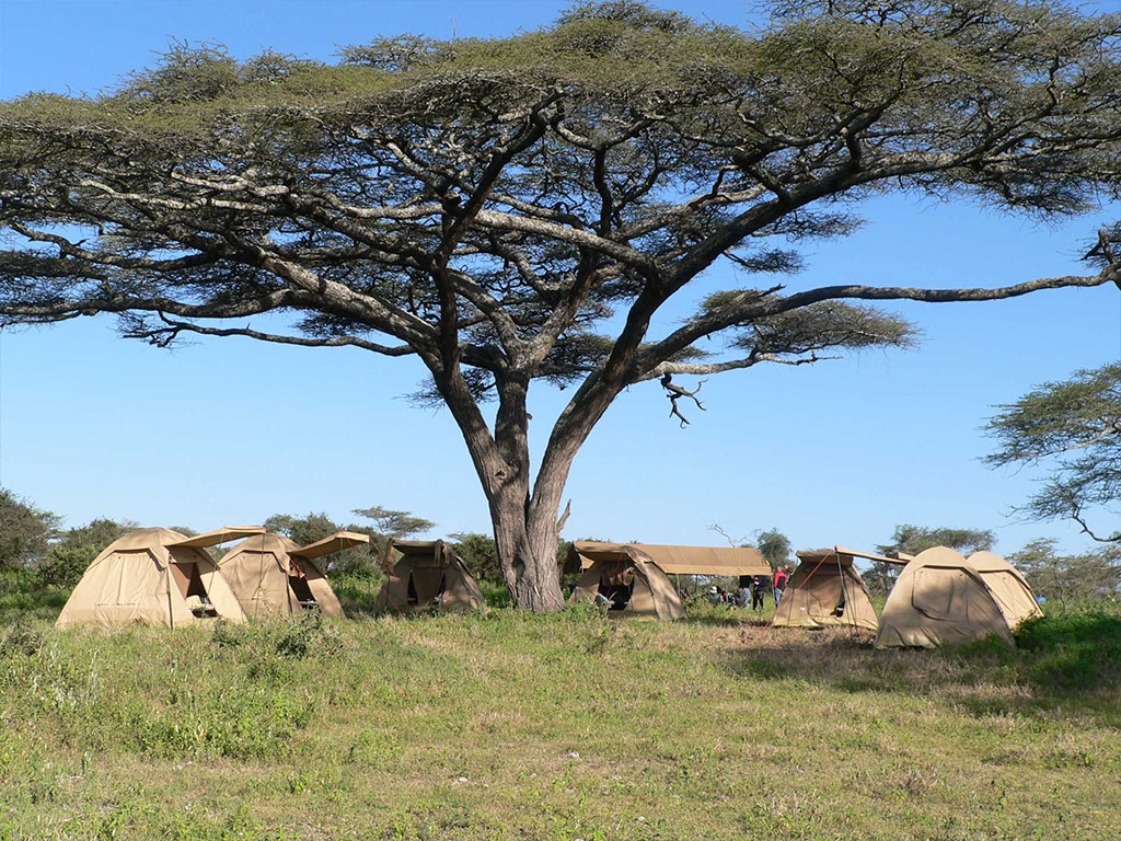 Fly-Camping-with-Serengeti-Select